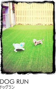 DOG RUNドッグラン